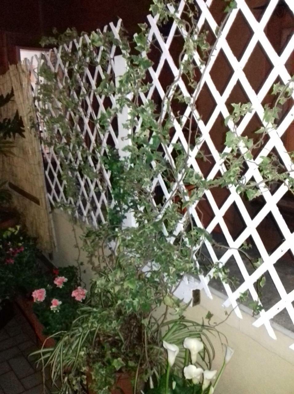 La Terrazza Di Dante Acomodação com café da manhã Nápoles Exterior foto